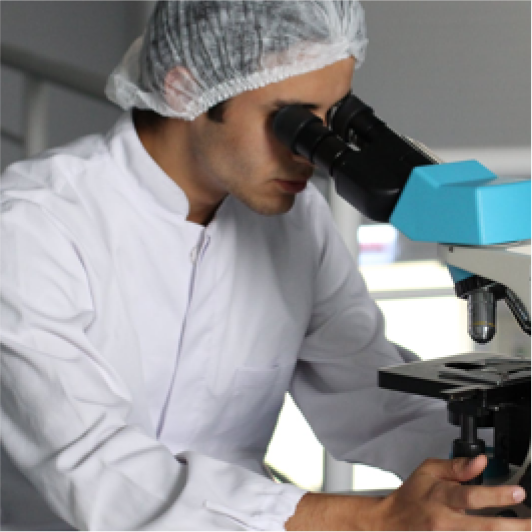 Ciencia y Tecnología