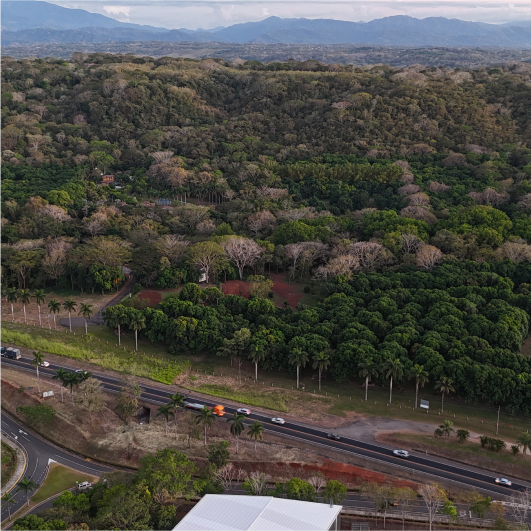 Parque Empresarial La Ceiba